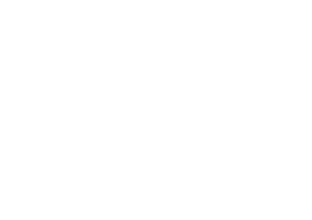 Территория Ford (Форд)