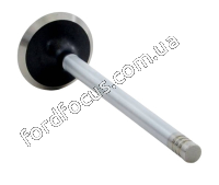 V3419 exhaust valve - 1