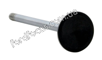V3419 exhaust valve - 2