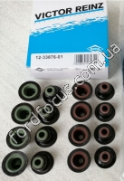 12-33876-01 set stuffing boxes valves