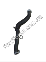 2464163 Left radiator hose 2.0 ECOBOOST - 1