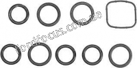 429.040 gaskets intake collector (TO-T  9шT) 1,6L Duratorq TDCi (90ps)