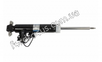 EG9Z18125D амортизатор задний правый image