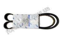 2361318 belt generator 2.0 ECOBLUE A image