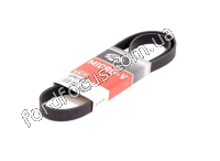 6PK1153 belt polyclinic image