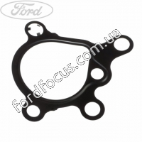1682163 gasket Injection pump