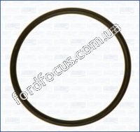 1226258 ring sealing fuel the pump